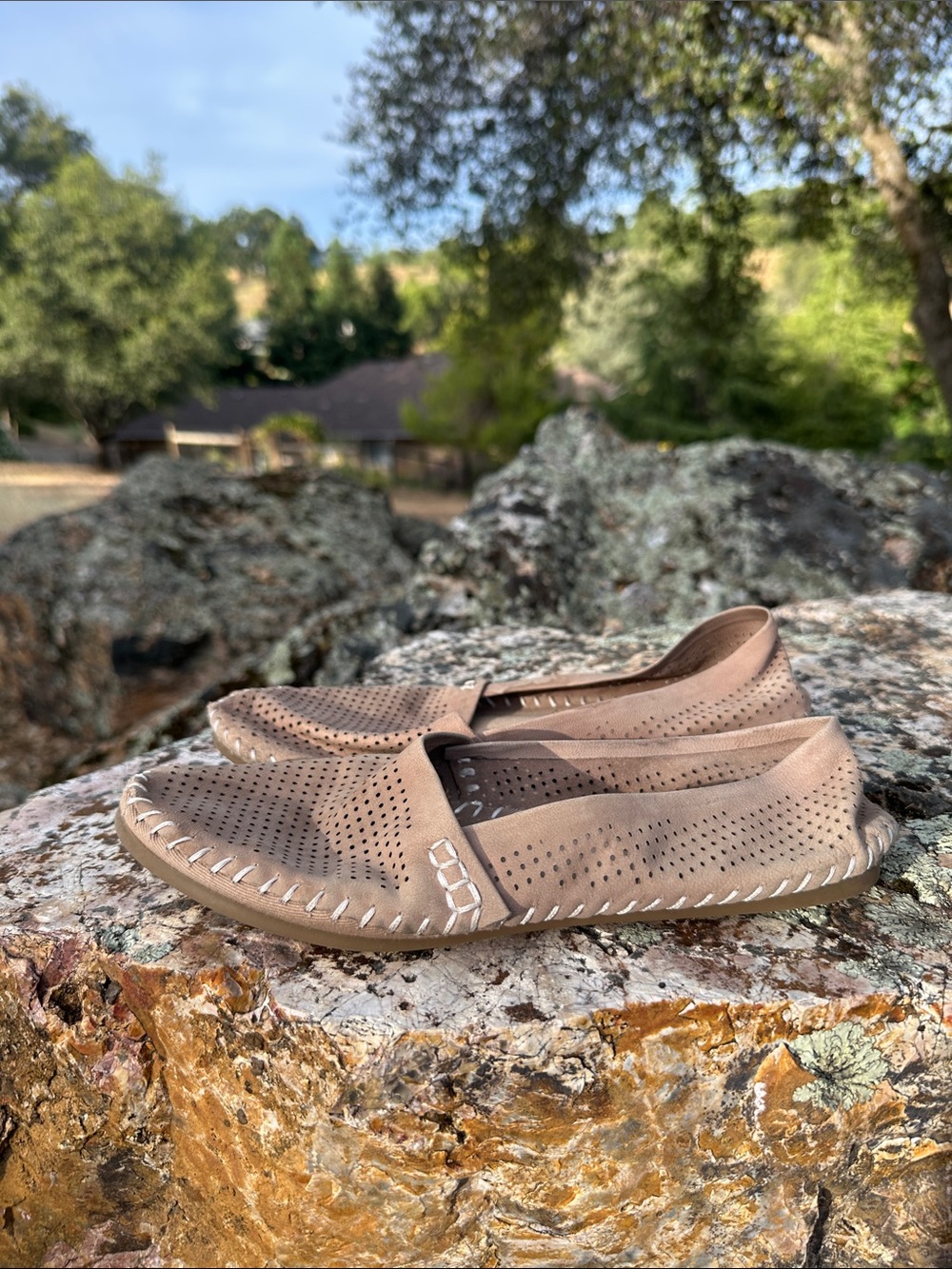 Adam Tucker Perforated Slip-On Loafers in Taupe